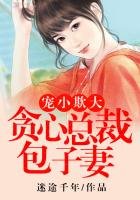 寵小欺大，貪心總裁的包子妻！