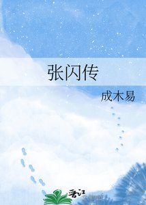张闪传